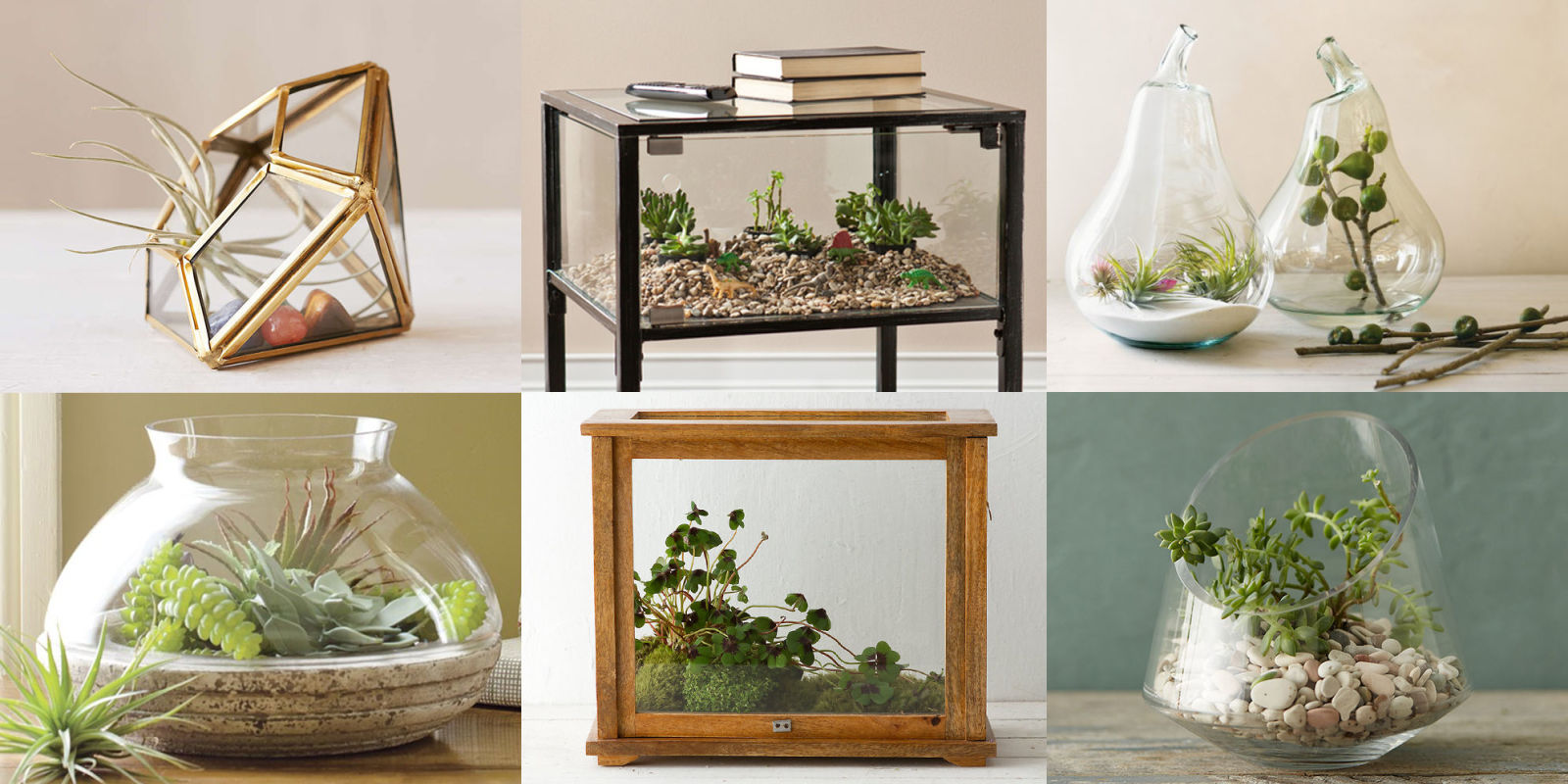 11 Unique Glass Terrariums in 2017 Best Decorative Terrarium Kits and