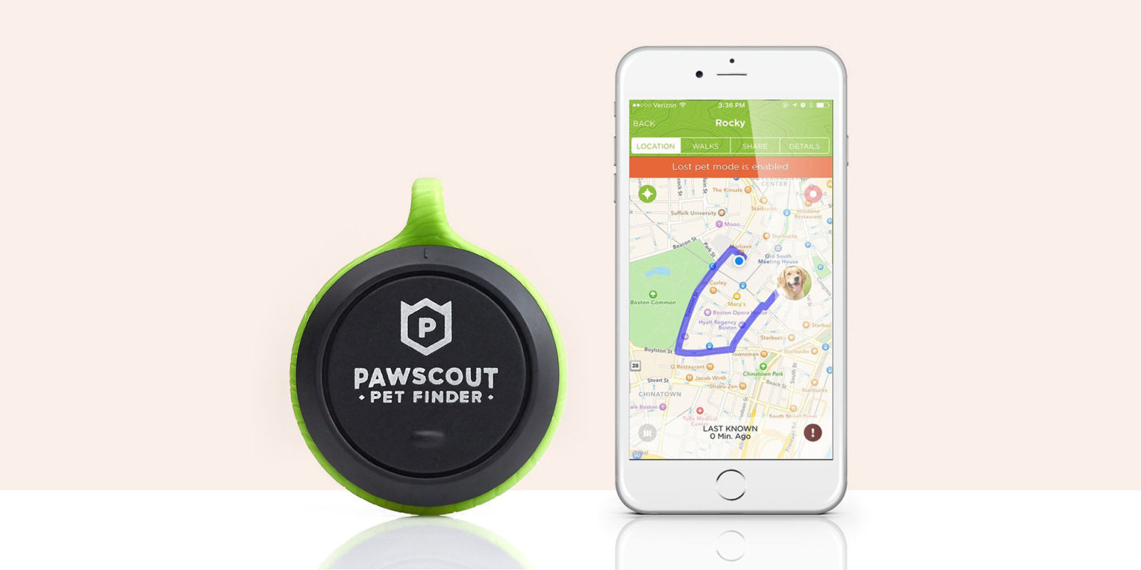 7 Best GPS Pet Trackers 2017 Pet Trackers and GPS Collars