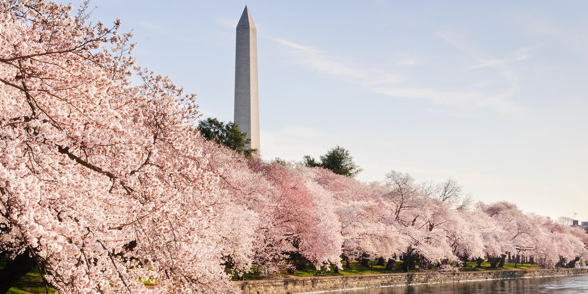 12 Best Places to See Cherry Blossoms in Full Bloom in Spring 2017