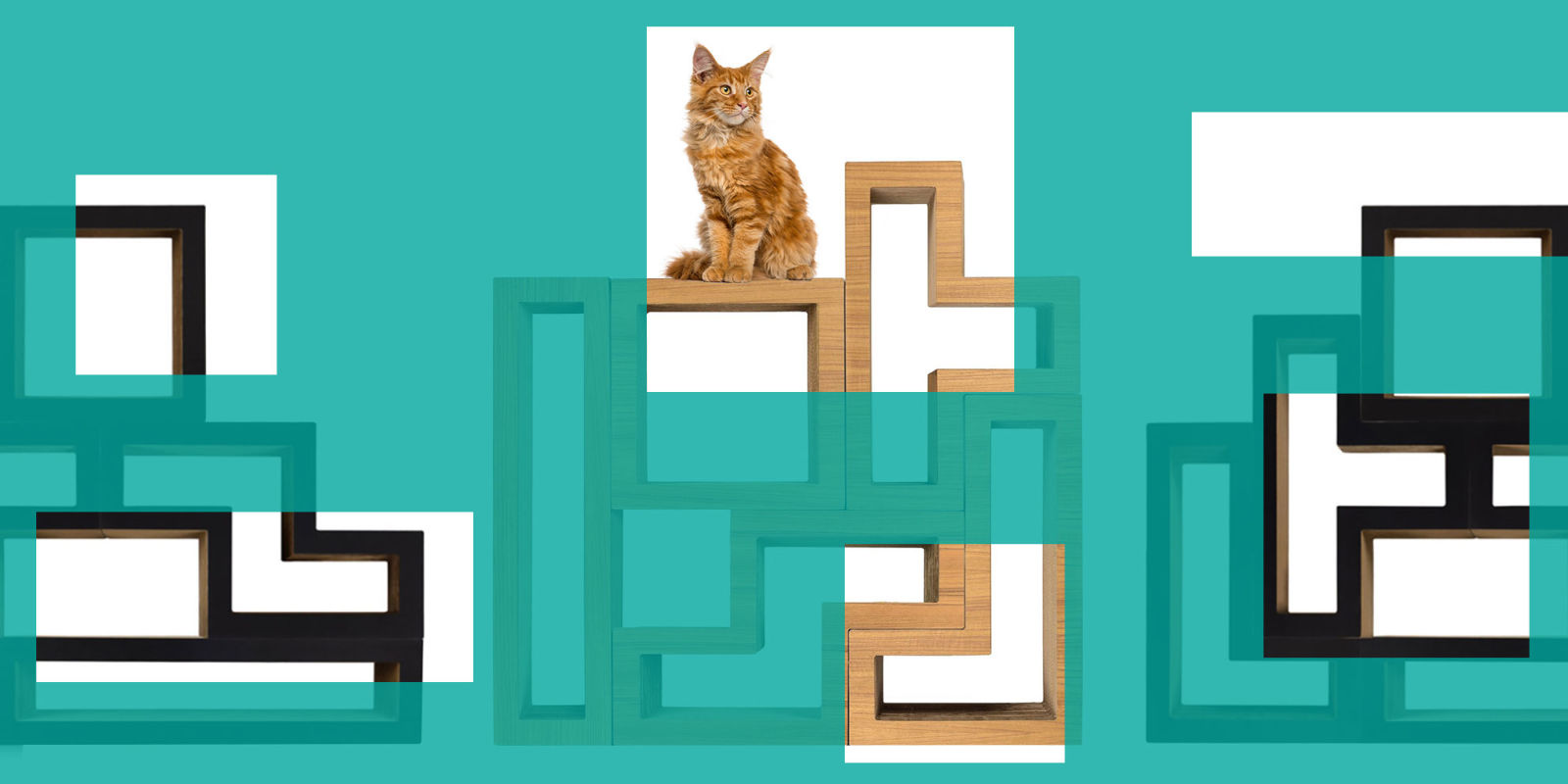 50+ Best Cat Accessories for 2017 Top Gifts and Products for Kittens