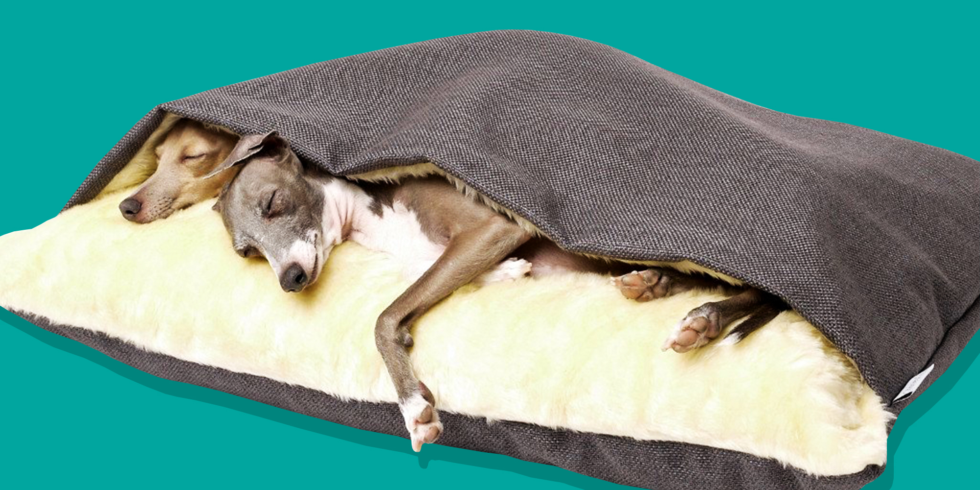 22 Best Pet Toys For Dogs And Cats 2017 Quirky Pet Products And Toys 22-best-pet-toys-for-dogs-and-cats-2017-quirky-pet-products-and-toys