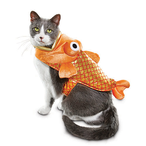 Cats Holiday And Home Decor Cats Holiday And Home Decor
