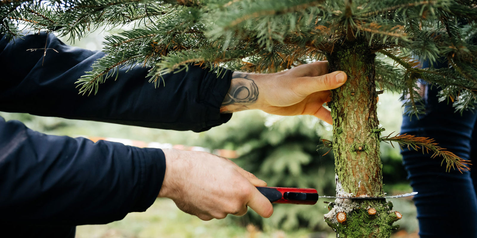 5 best christmas tree farms near nyc christmas tree 5 best christmas tree farms near nyc christmas tree