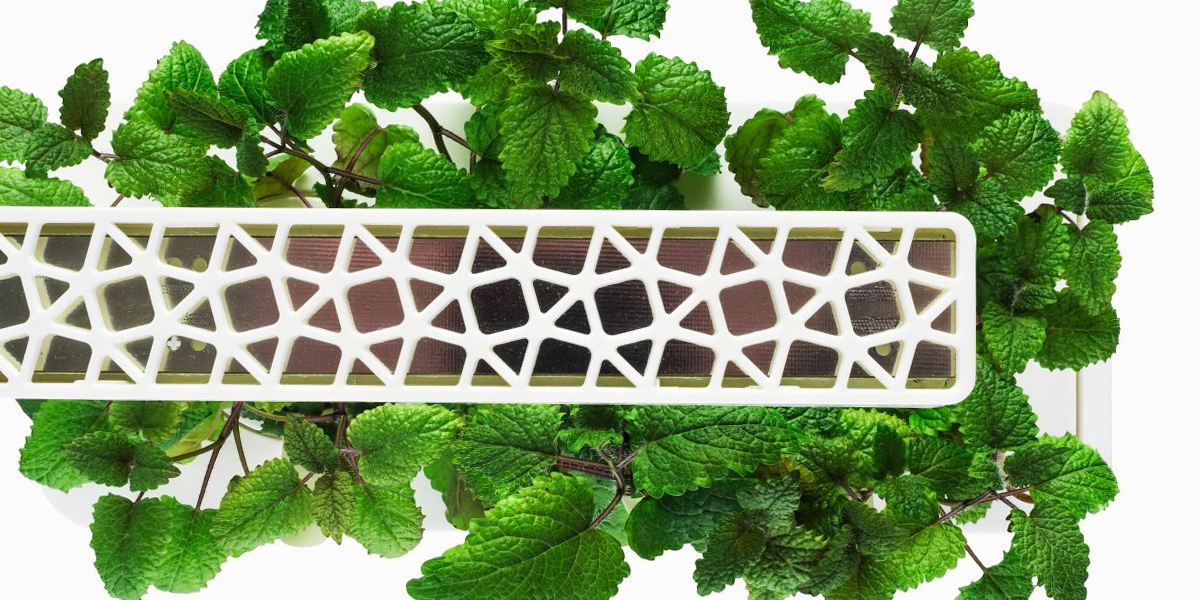 7 Best Indoor Herb Gardens in 2018 - Indoor Gardens for Growing Herbs