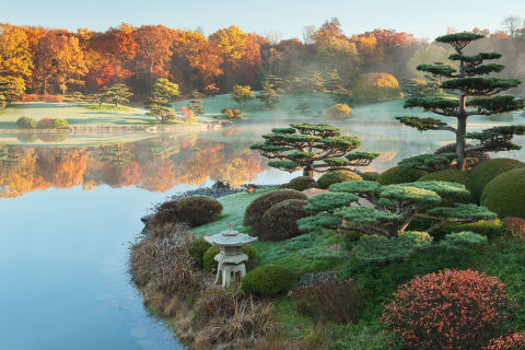 Brooklyn Botanic Garden, New York Metropolis